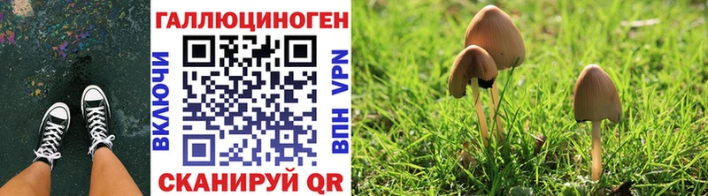 Псилоцибиновые грибы мухоморы  Купить закладки  Пудож 