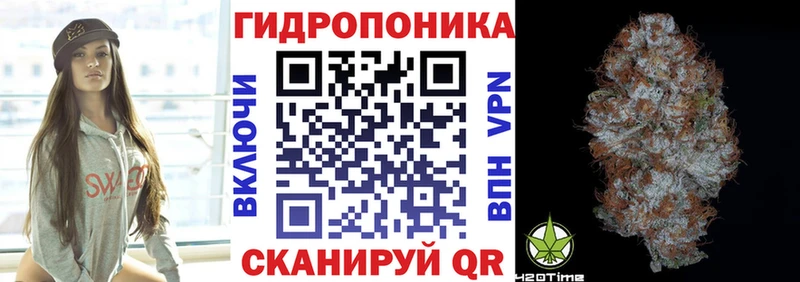 Купить  Пудож  Конопля конопля 